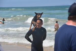 Hey pup, it's a surfboard riding comp, not a doggyback contest! Photo by Dan Merchant